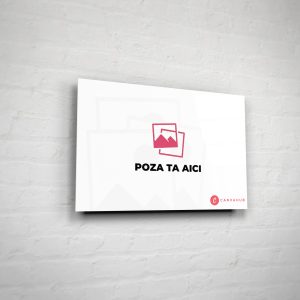 Tablou Sticlă Personalizat